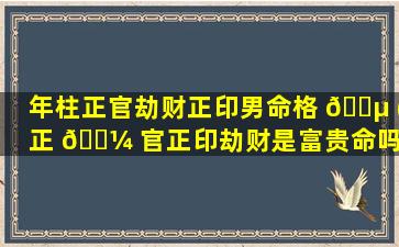 年柱正官劫财正印男命格 🌵 (正 🌼 官正印劫财是富贵命吗)